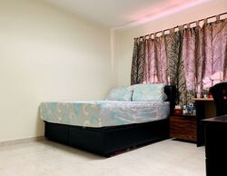 Macpherson Garden Estate (D13), Terrace #321859651